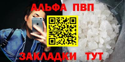 гашик Дубна