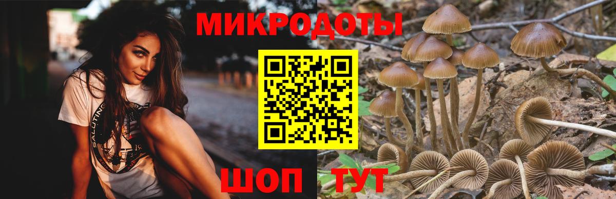 Псилоцибиновые грибы GOLDEN TEACHER Ливны
